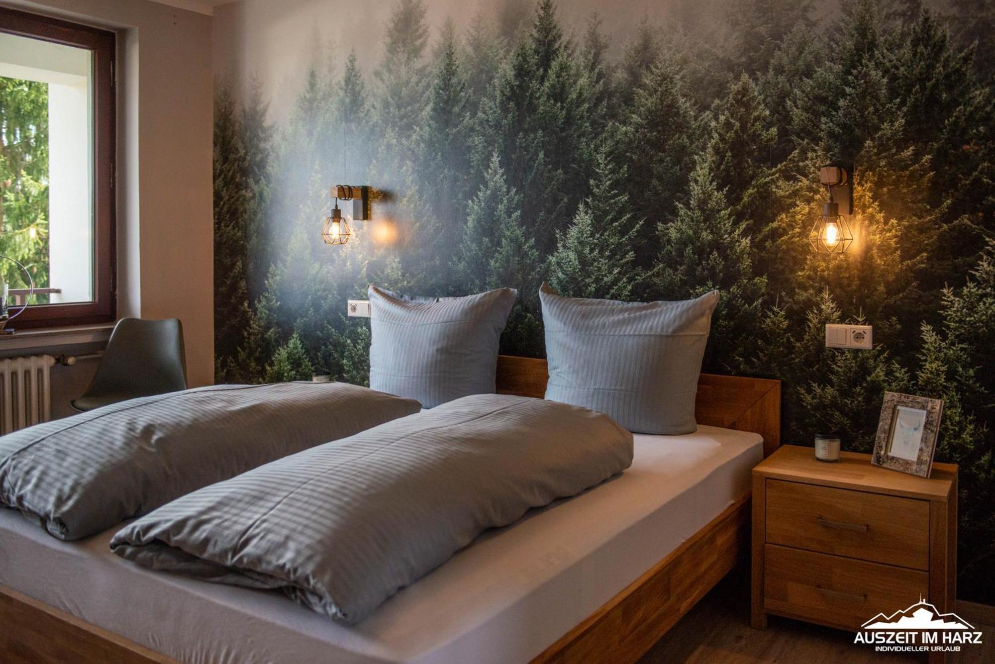Ferienwohnung Auszeit im Harz Haus 3 Braunlage Exterior foto